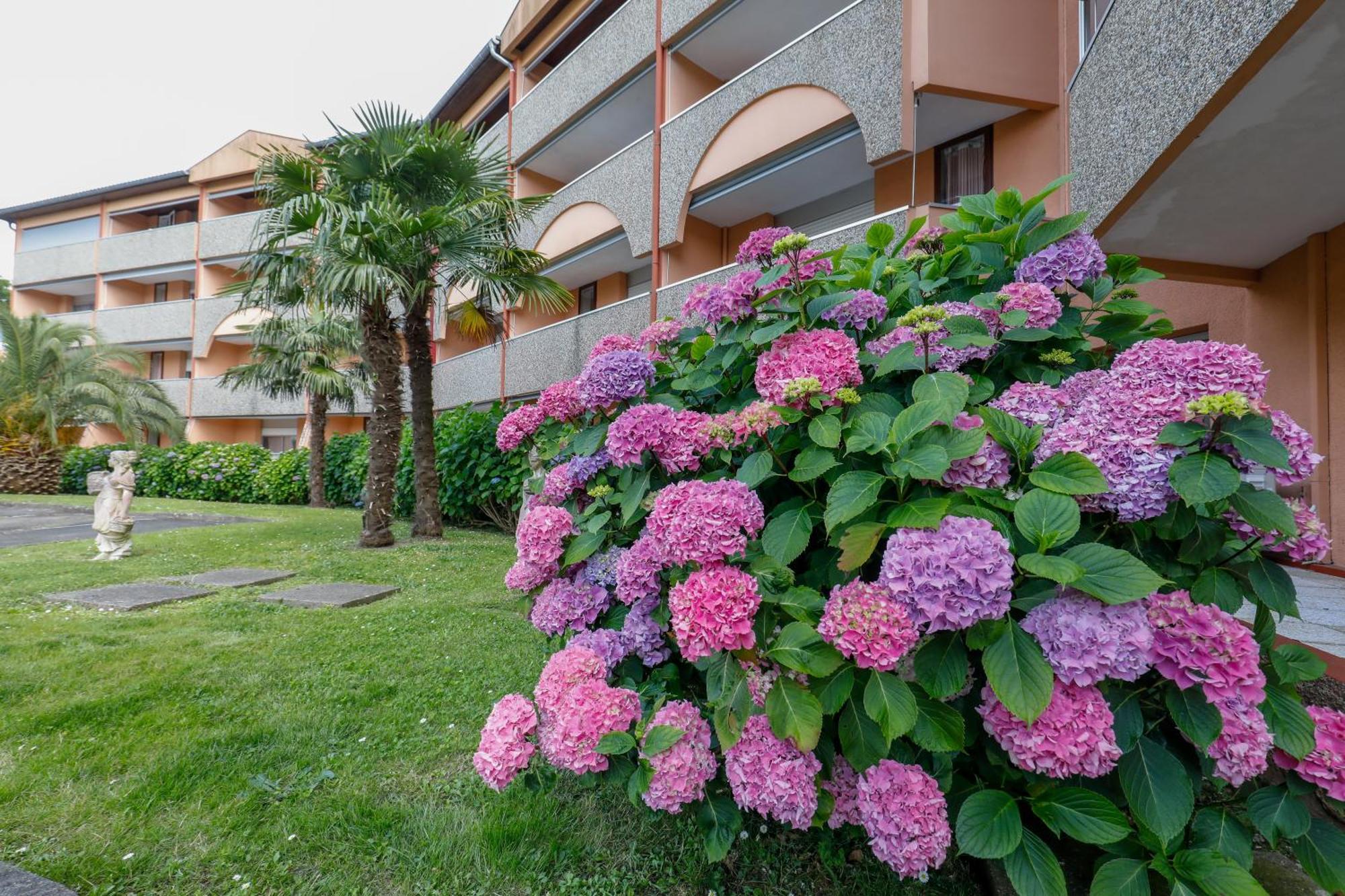 Les Terrasses De Borda*** Otel Dax Dış mekan fotoğraf
